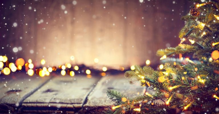 2017 Holiday Gift Guide!